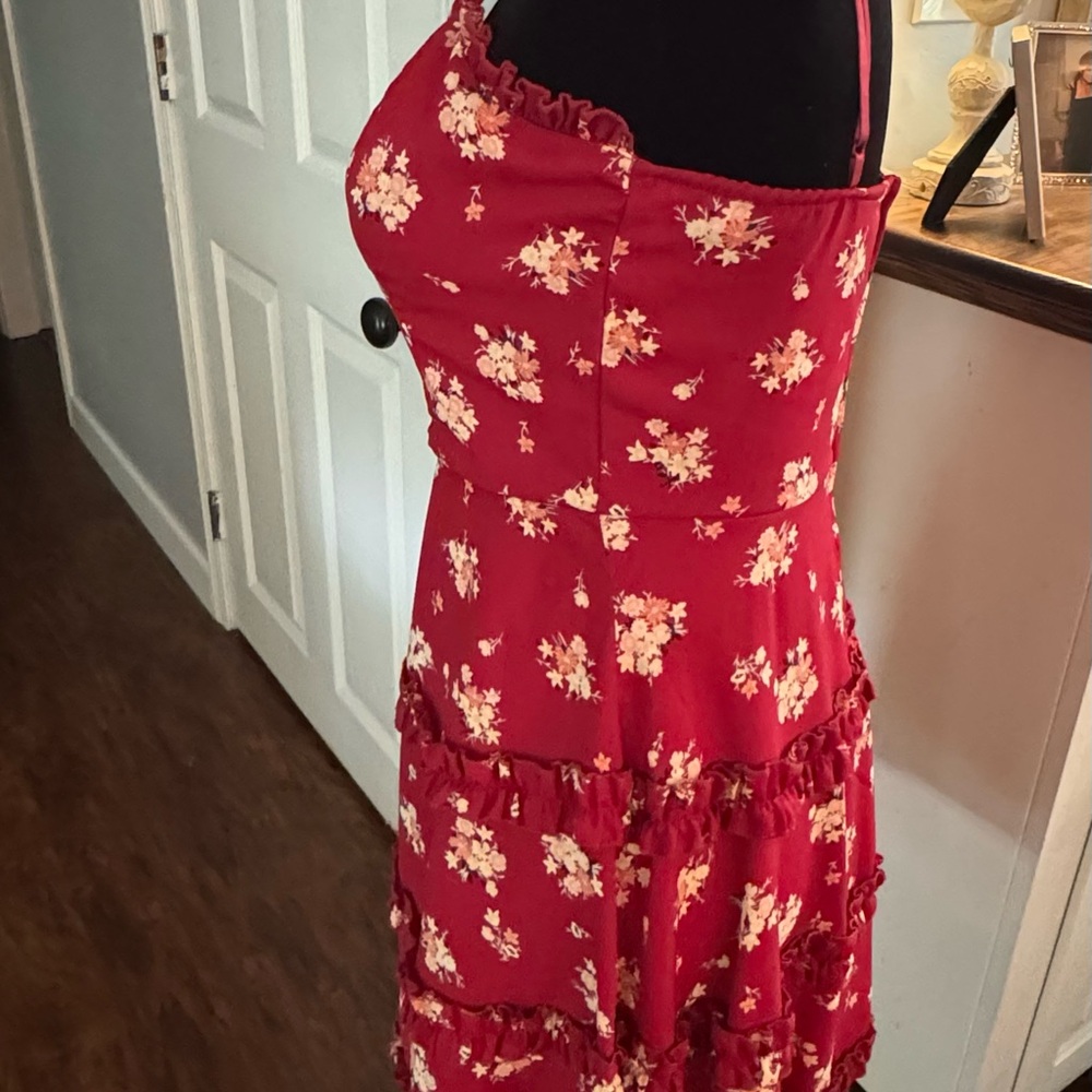 Blue rain dress from Francesca’s. Color is Burnt red. Size M.